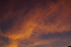 IMGP1727_thumb.png