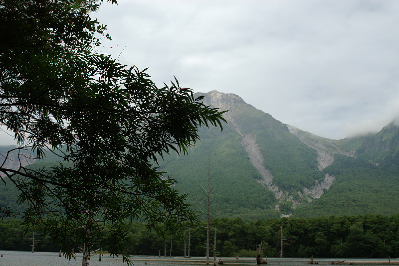 imgp0532.jpg
