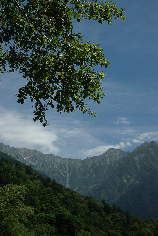 imgp0545.jpg