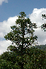 imgp0586_thumb.png