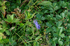 imgp0656_thumb.png