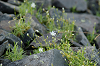 imgp0664_thumb.png