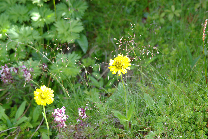 imgp0697.jpg