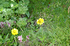imgp0697_thumb.png