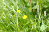 imgp0699_thumb.png