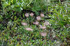 imgp0701_thumb.png