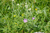 imgp0704_thumb.png