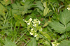 imgp0706_thumb.png