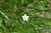 imgp0717_thumb.png