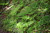 imgp0735_thumb.png