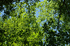 imgp0738_thumb.png