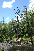 imgp0746_thumb.png