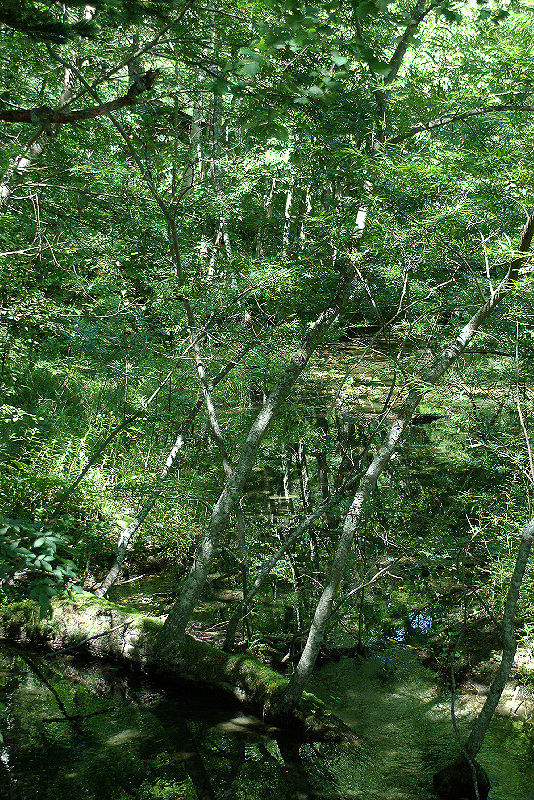 imgp0750.jpg