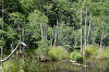 imgp0751_thumb.png