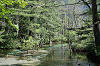 imgp0755_thumb.png