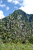 imgp0757_thumb.png