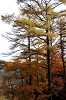 IMGP5482_thumb.png