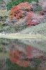 IMGP5497_thumb.png