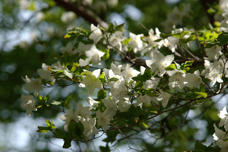imgp1359.jpg