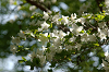 imgp1359_thumb.png