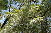 imgp1360_thumb.png