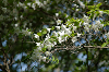 imgp1361_thumb.png