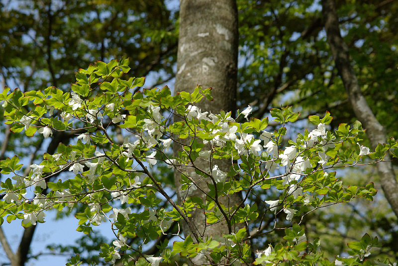imgp1364.jpg