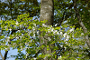 imgp1364_thumb.png