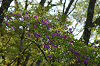 imgp1366_thumb.png
