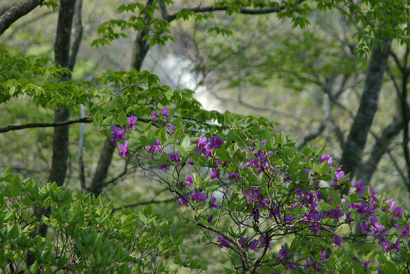 imgp1367.jpg