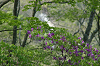 imgp1367_thumb.png