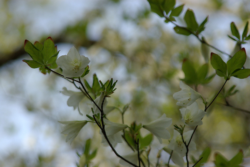 imgp1372.jpg