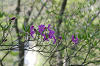 imgp1374_thumb.png
