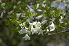 imgp1379_thumb.png