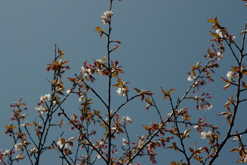imgp1388.jpg
