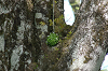 imgp1393_thumb.png