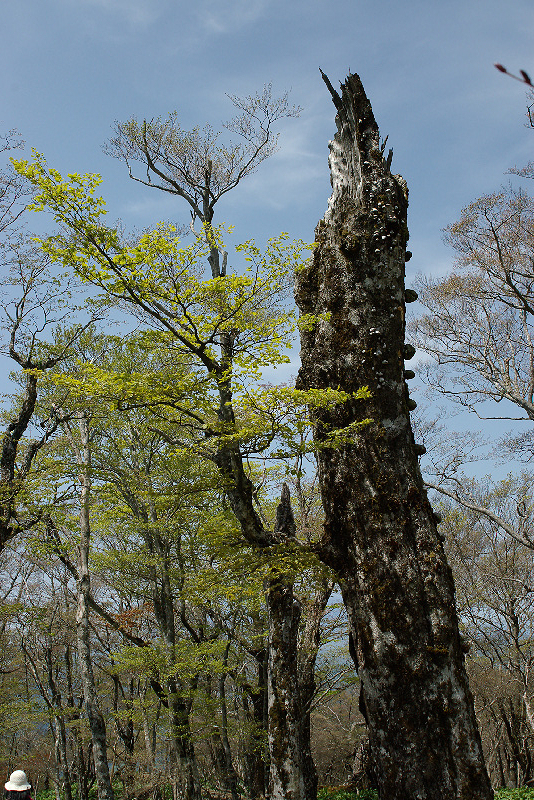 imgp1394.jpg