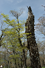 imgp1394_thumb.png