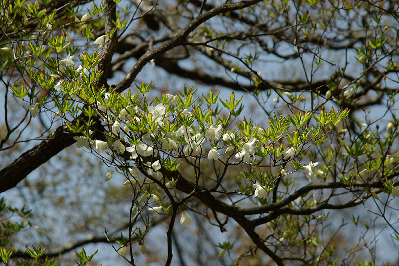 imgp1396.jpg