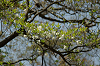 imgp1396_thumb.png