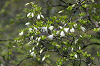imgp1398_thumb.png