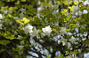 imgp1403_thumb.png
