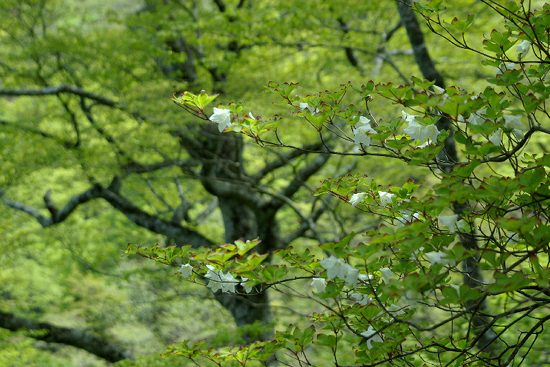 imgp1415.jpg