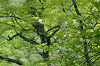 imgp1415_thumb.png