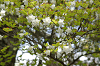 imgp1416_thumb.png