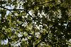 imgp1424_thumb.png