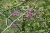 imgp1425_thumb.png