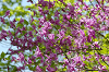 imgp1431_thumb.png