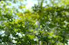 imgp1433_thumb.png