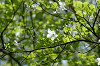 imgp1436_thumb.png